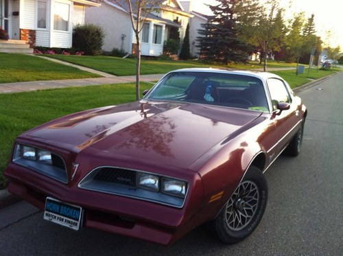 Published Poet, creative writer, freelance writer. I love my 1978 Firebird. #poetryisfluid