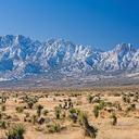 Jo Beth Conner - @jobeth87 - Twitter