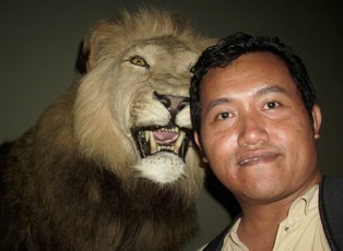 DoditOptimizer's profile picture. Biznet Optimizer