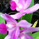 Marta Valentin - @Marta279Marta - Twitter