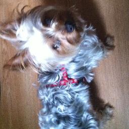 dejonae2's profile picture. I am sexy and cuite and smart. And i love texting