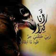 حظ عيني لوتشوفك كل يوم