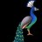 decobroad's profile image