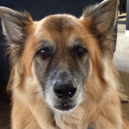 debmorgenthaler's profile picture. 