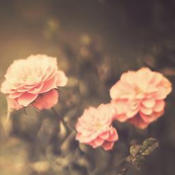 TanselArtun's profile picture. He has recently joined Twitter.  A momentous #entertainment (#show #movie #TV #music) critic and TV & #screenwriter, and a devoted friend, husband and father.