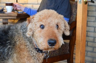 RowdydogBob's profile picture. Find what you love and do it until it kills you... Ha