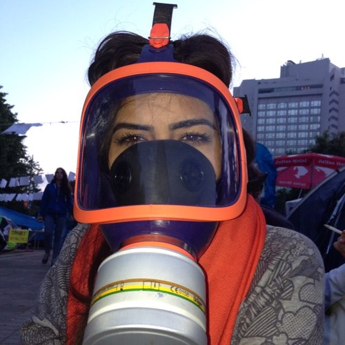 ginseng_G115's profile picture. Notting else