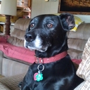 Rita beebe - @RITAllaboutit48 - Twitter