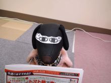 やっぱプロレスだね！やっぱ新日本プロレスだね↑↑(b^ー°)…整体師&自動車整備士&自動車検査員8(*^^*)8大切な家族があるから毎日頑張れる＼(^o^)／ X JAPAN(^X^) 海釣り🎣#体喜整体🦦あもーーれ♡