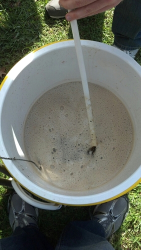 CheckerbackBrew's profile picture. Traditional Ales.  Redefined.