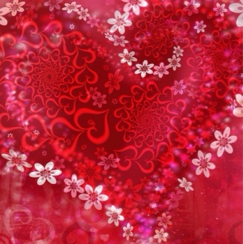 أستغفر الله العظيم الذي لا إله إلا هو الحي القيوم وأتوب إليه@من أهدآني إهتِمآمهہ وقلبهہ♡ لن أتخلى ﻋنهُہ ما دمتُ آتنفس♥ سامحوا بكثرة فالجنة تحتاج قلباً سليماً