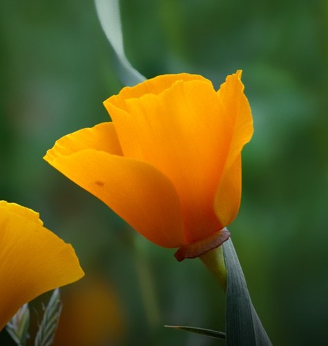 Arleneyyc's profile picture. 