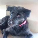 Peter Munn - @PeterKohSamui - Twitter