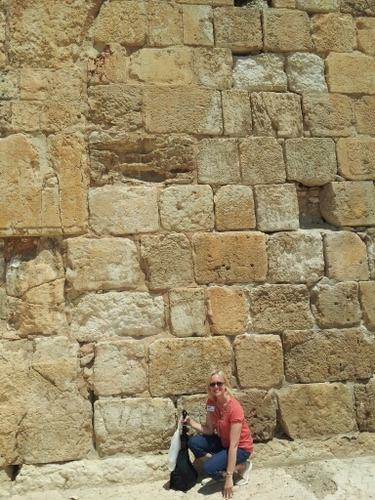 StaceyBrien's profile picture. 