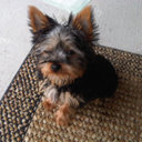 Becky McLaughlin - @BexMc03 - Twitter