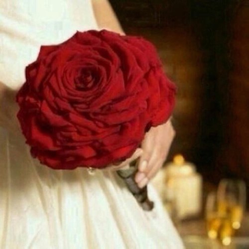 VipNawal's profile picture. الحمدُ للہ على قلبَ ينبضُ وعين ترى النور ويد تصرف الامُور وقدم تحمُلنا الى حاجَتنا بِ دونَ مساعدة من احد ، فَ الحَمدُ للہ دائما