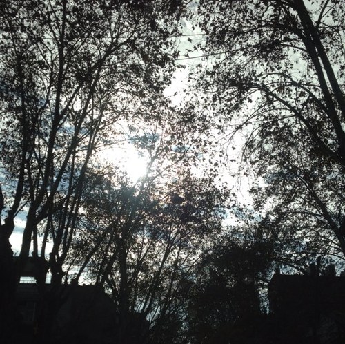 marucaleiva's profile picture. 