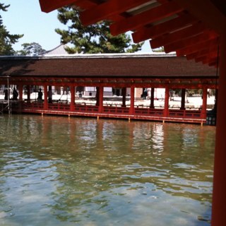 BMinorWaltz's profile picture. NFL:Green Bay Packers /Music:Michel Petrucciani,Weather Report & cetra /あとは神社詣りの写真かなあ