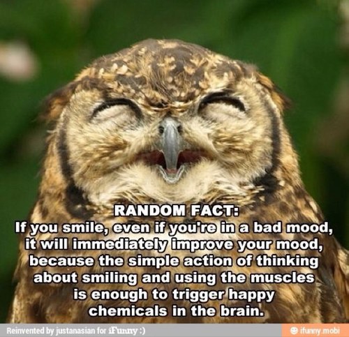 GodlyWoody's profile picture. Keep your hopes up hi and keep your head down low