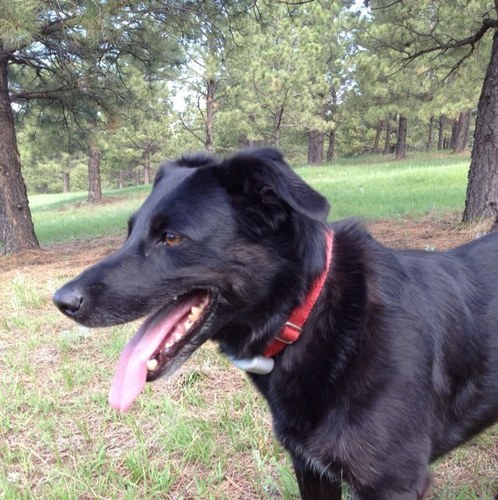 khac4h's profile picture. 