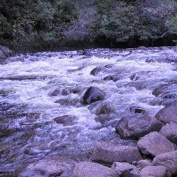 coach, mentor, kayak/canoe, teacher conservationist