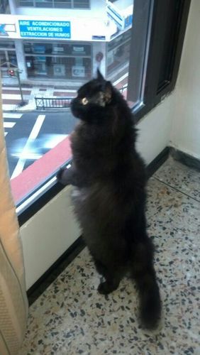 MarNavD's profile picture. 