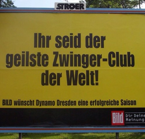 Sportredakteur BILD Dresden, Hauptfeld Dynamo und Eislöwen, BILD-Sport-News-Mann bei R.SA-Sachsen, Hobby-Kicker bei ESV Dresden