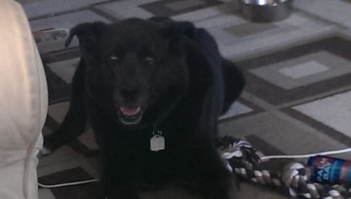 JonnyDukes1976's profile picture. 