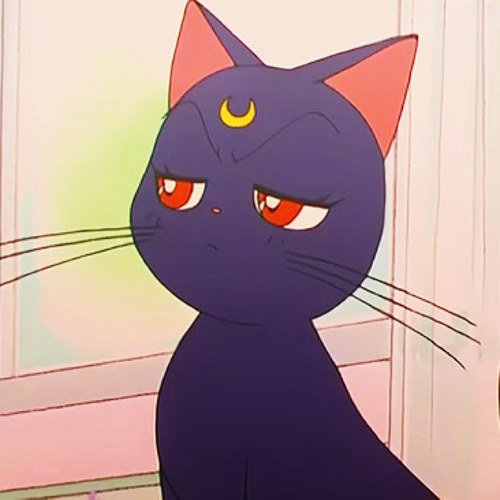 harryheichou's profile picture. 