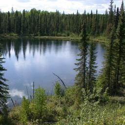 FlatPlantsCAN's profile picture. Curator and Bryologist, National Herbarium of Canada, Canadian Museum of Nature