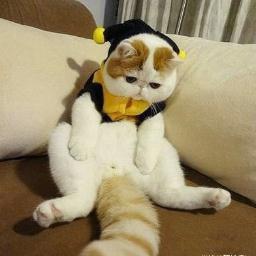 christinyan1's profile picture. 