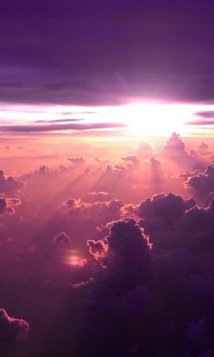 daichi3black's profile picture. 