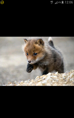 fineResemblance's profile picture. 