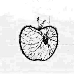 AtomiqueAme's profile picture. “No somos mas que el reflejo subjetivo de la sociedad en la que vivimos, gracias a Todos” [!!!] http://t.co/MMhzBMJdZe / http://t.co/r3tEiX3Tmb