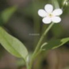 jjs06022's profile picture. 