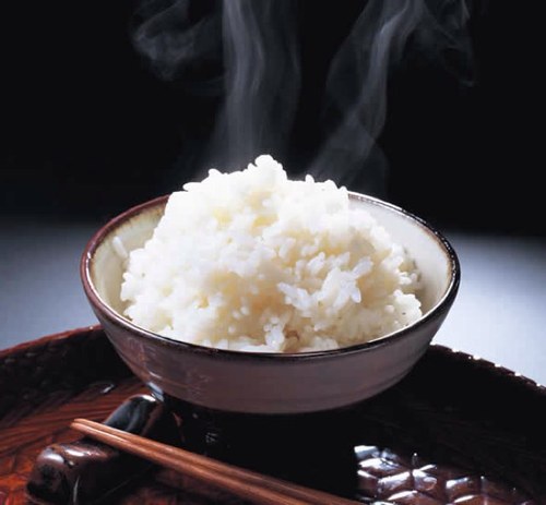 megane_cola's profile picture. My belly is filled with kindness