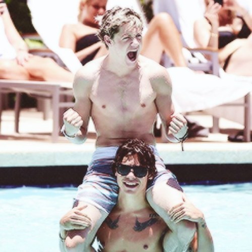this is a free follow go follow @fruityharryy bc she gave u this free follow