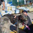 katherine dalin - @katedalin - Twitter