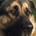 Paul Gault  - @pkgault1964 - Twitter