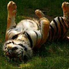 Jo_G_Anna's profile picture. I Am.. Particle, Intuition, Instinctive, Nurturer, Empathy.. #MusicLover #Love #Power #Peace #Truth #Capricorn