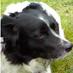 jane cullen (@redwineandveg) Twitter profile photo jane cullen (@redwineandveg) Twitter profile photo