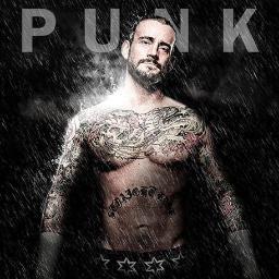 EhminBird's profile picture. 