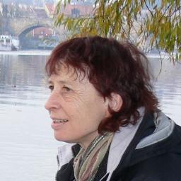 Maître de conférences en infocom