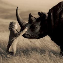 Stop killing our rhinos!   Việt Nam, xin vui lòng ngừng sử dụng sừng tê giác! Chân thành, Nam Phi  #SaveTheRhino  中國-請停止使用犀角 ！真誠南非