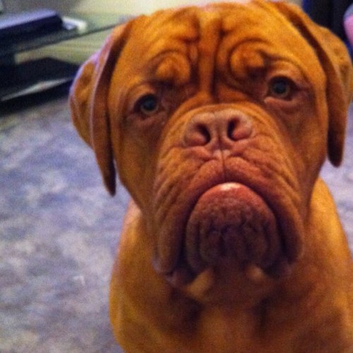 DAD!, Music, footy, golf, bets, mufc, IT Stuff, Web Monitoring/hosting