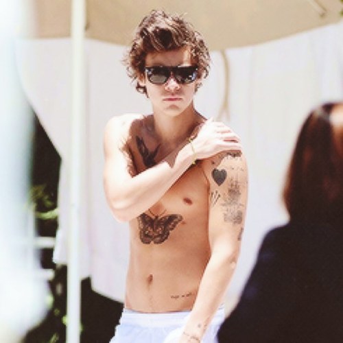 FOLLOW @fruityharryy BC SHE GAVE U THIS FREE FOLLOW