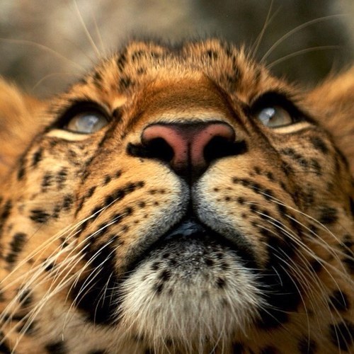 ErdemTlos's profile picture. 