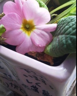 HT_MUSIC_CAMP's profile picture. 