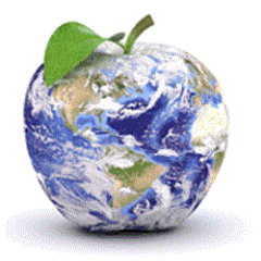 Global Food Safety Consultants provide services towards achieving third party auditing & Certification in pune, ISO 9001 and haccp food safety Training.