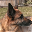 Larry Wohlgemuth - @LarryNeckbolt - Twitter